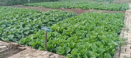 a9980bbae91a095c27a388b1b123110