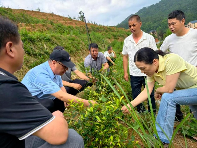 江西省政协深化开展委员履职服务为民行动——委员沉下去 服务实起来